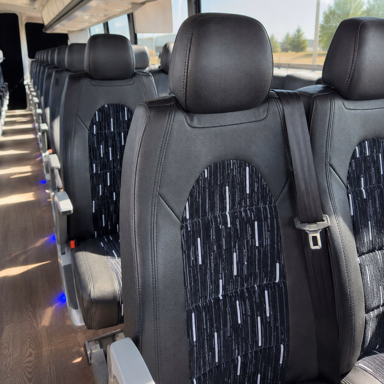 comparing chino buses made simple